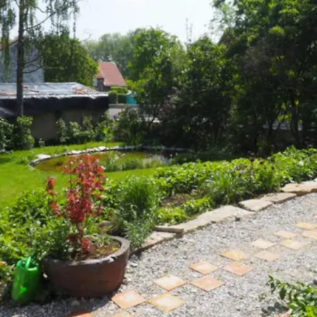 Schöne Gemütliche Mit Kamin Im Harz Ii Apartment
