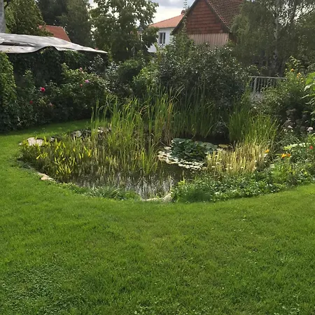 Schöne Gemütliche Mit Kamin Ii Im Harz Apartamento