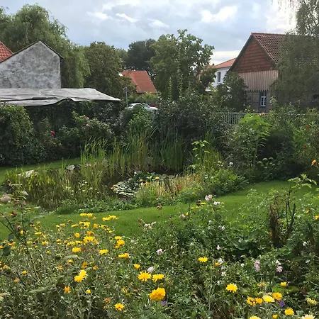 Apartment Schoene Gemuetliche Mit Kamin Ii Im Harz *