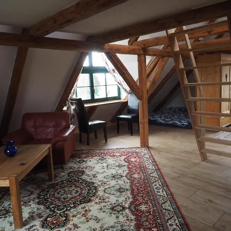 Schoene Gemuetliche Mit Kamin Ii Im Harz Apartment