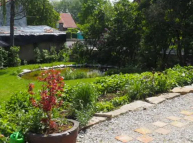 Schöne Gemütliche Mit Kamin Ii Im Harz Apartamento