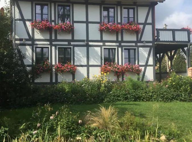 Schoene Gemuetliche Mit Kamin Ii Im Harz *