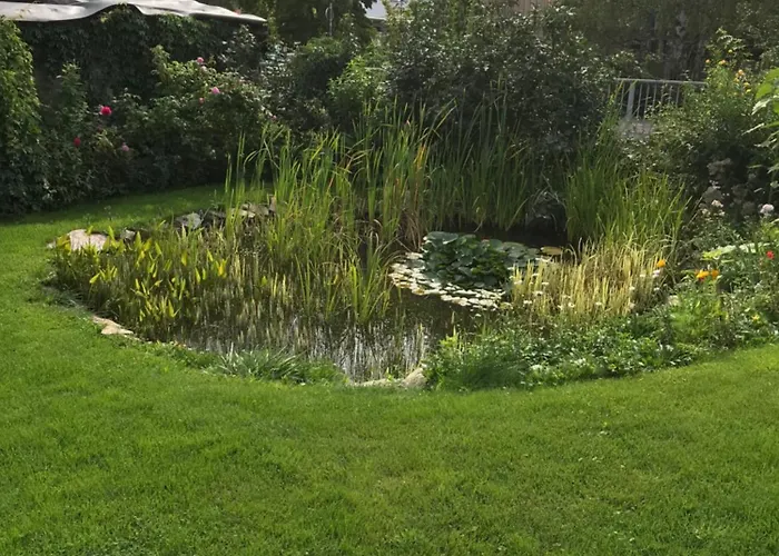 Schoene Gemuetliche Mit Kamin Ii Im Harz Lägenhet