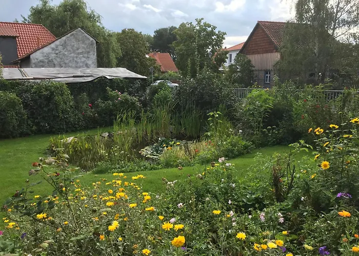 Apartamento Schöne Gemütliche Mit Kamin Ii Im Harz *
