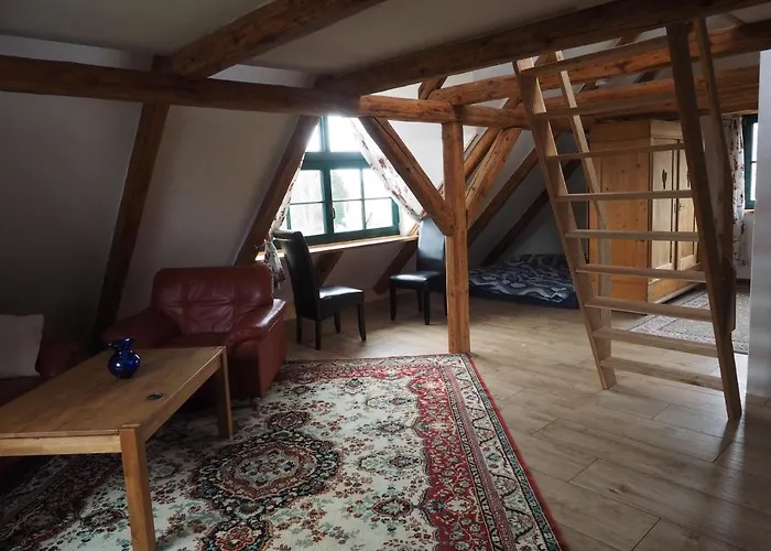 Schoene Gemuetliche Mit Kamin Ii Im Harz Apartman