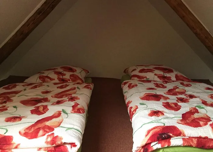 Apartman Schoene Gemuetliche Mit Kamin Ii Im Harz Darlingerode